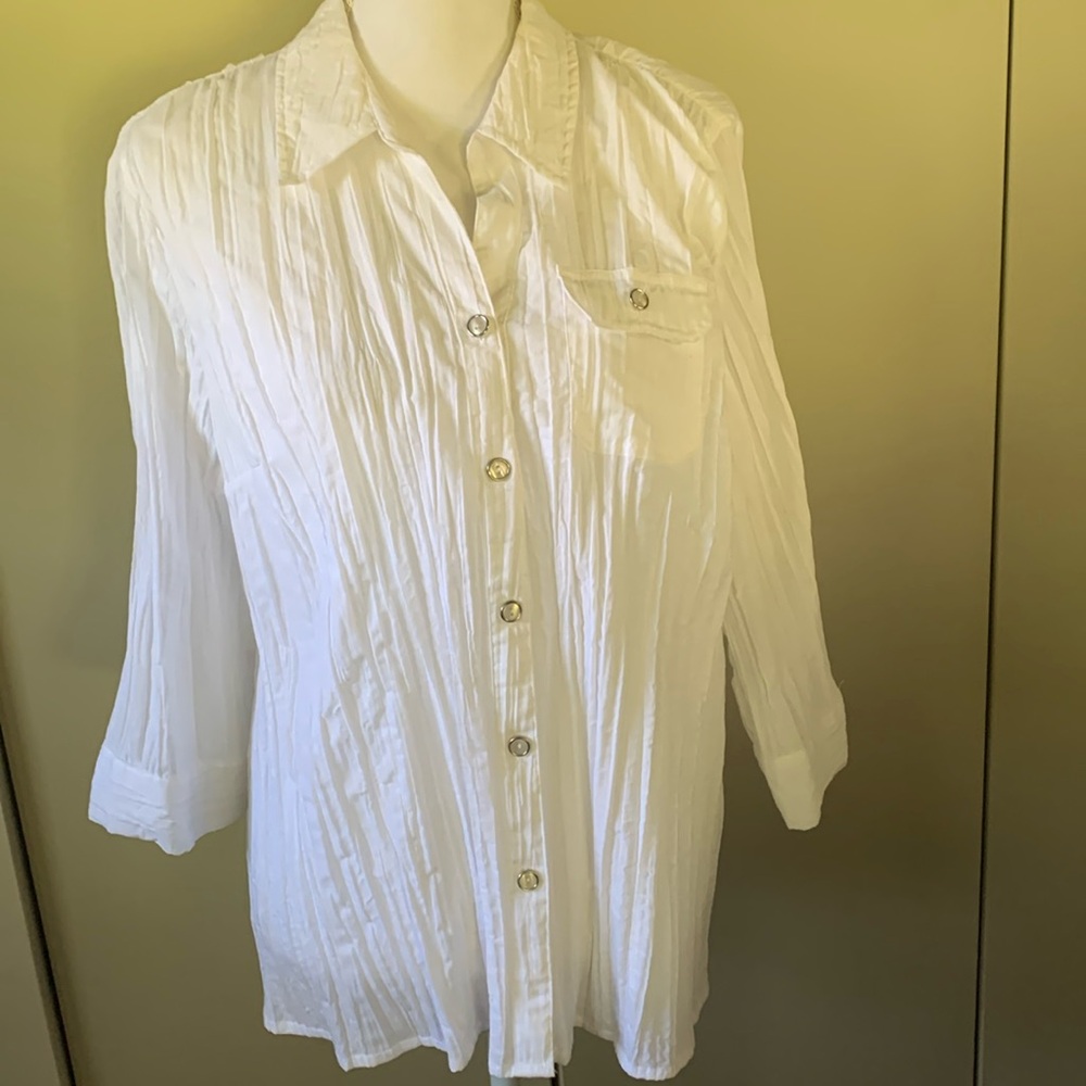 Karen Scott blouse size petite extra large